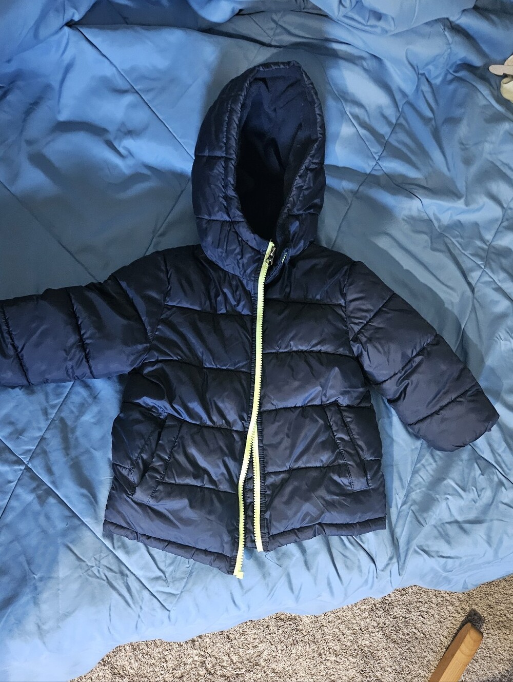wonder nation Navy Hooded Puffer Jacket with Contrast Zipper